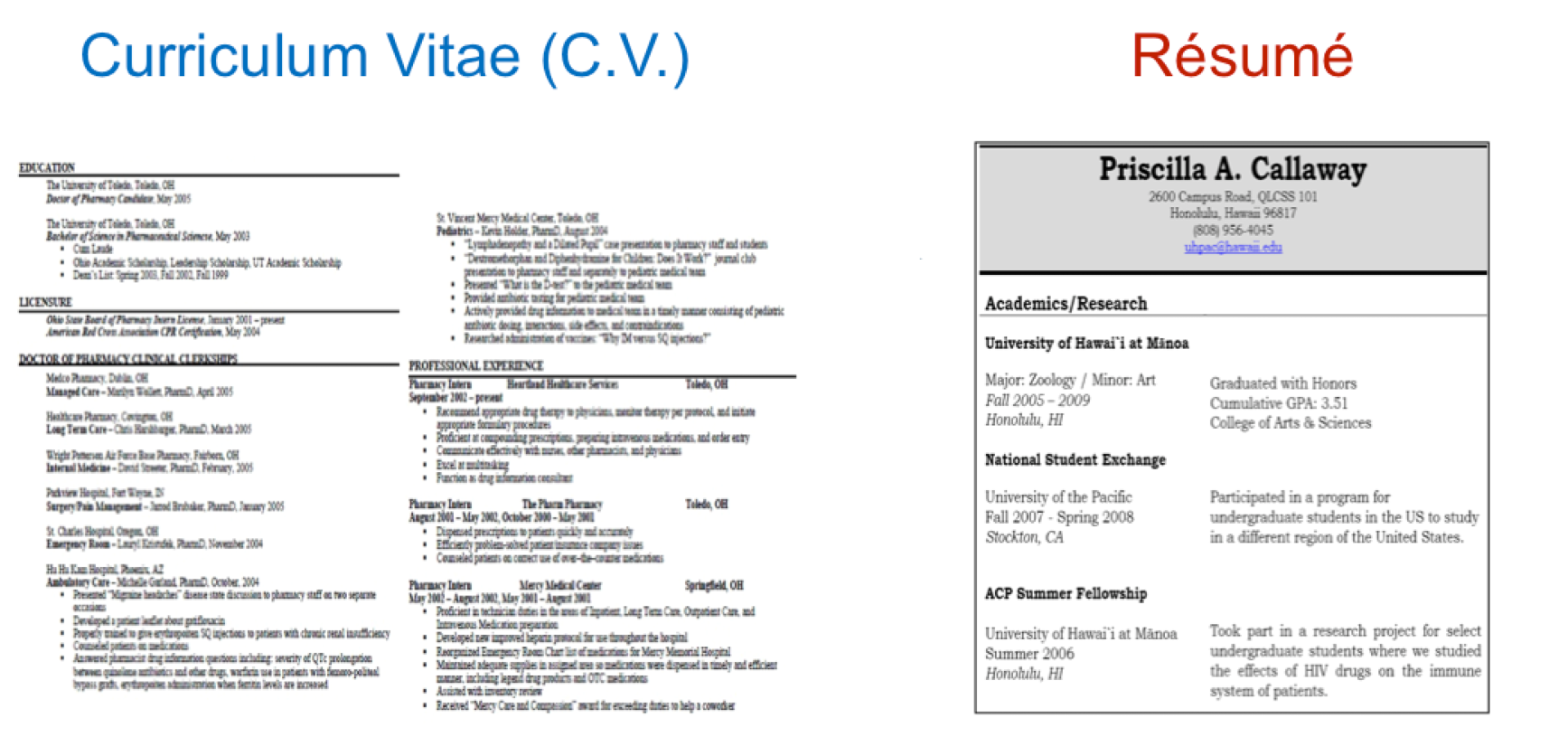 Difference Between Cv And Resume Sample